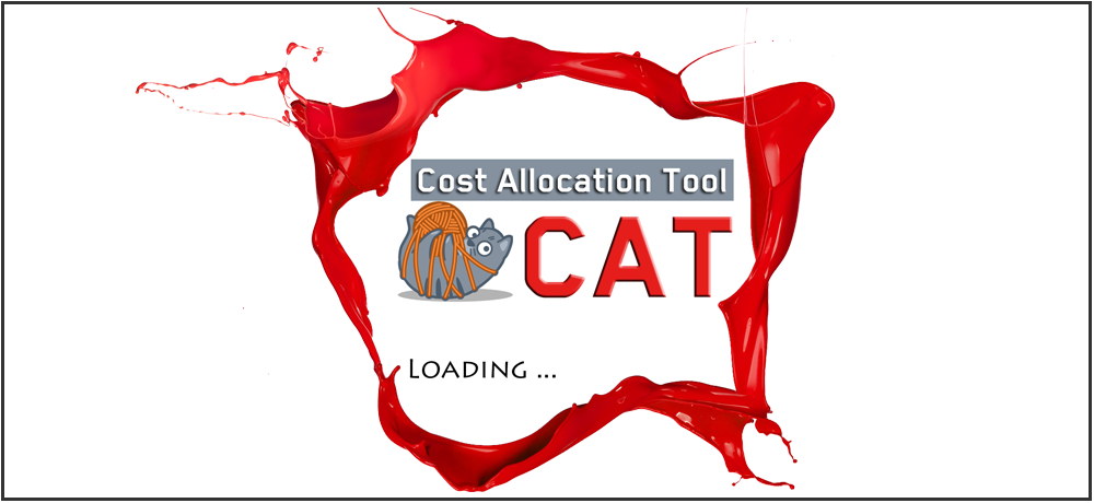 Cost Allocation Tool (CAT)